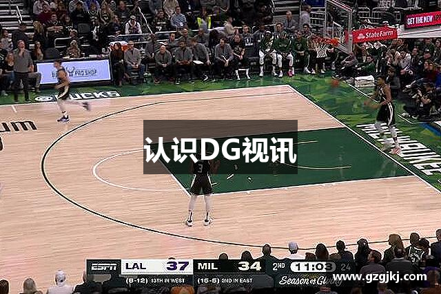 认识DG视讯
