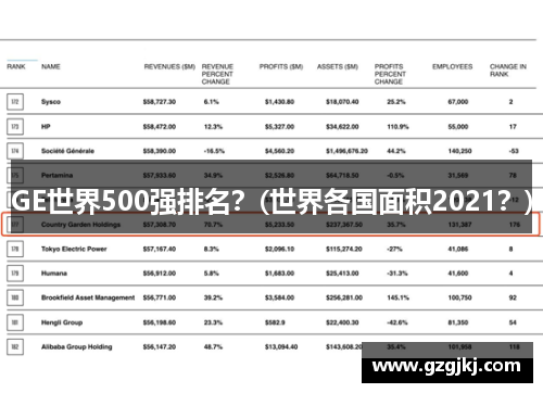 GE世界500强排名？(世界各国面积2021？)
