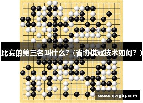 比赛的第三名叫什么？(省协棋冠技术如何？)