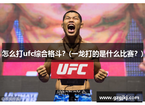 怎么打ufc综合格斗？(一龙打的是什么比赛？)